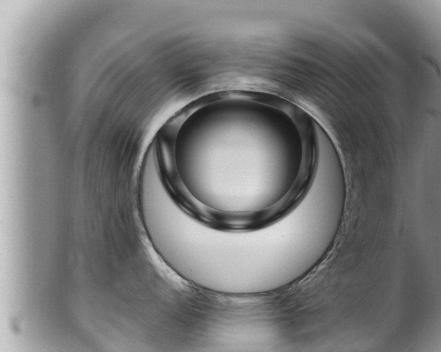 X0000102311152200808011557