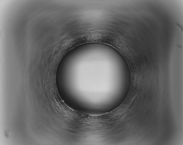 X0000102311153200808011556