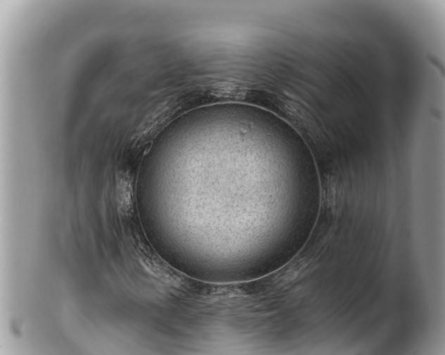 X0000102311154200808011556