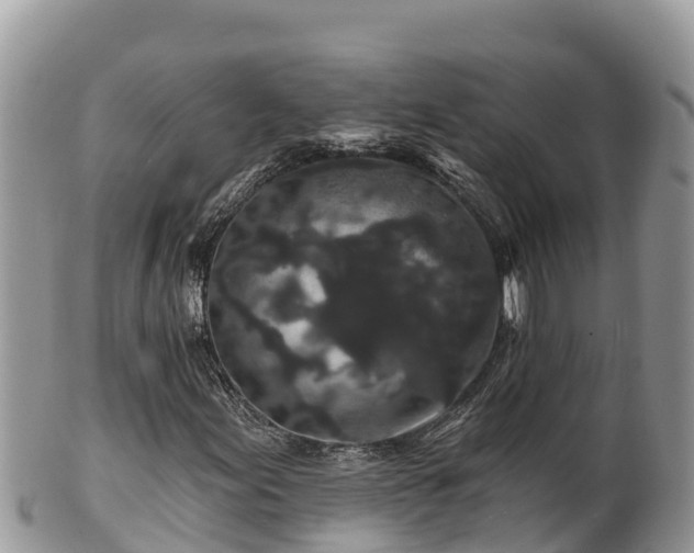 X0000102311155200808011556