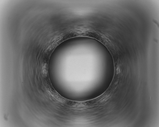 X0000102311156200808011556