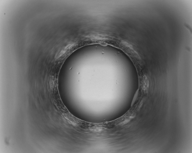 X0000102311157200808011556