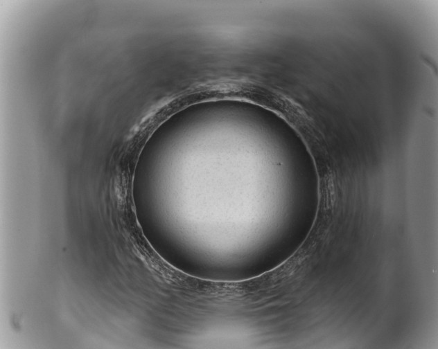 X0000102311158200808011556