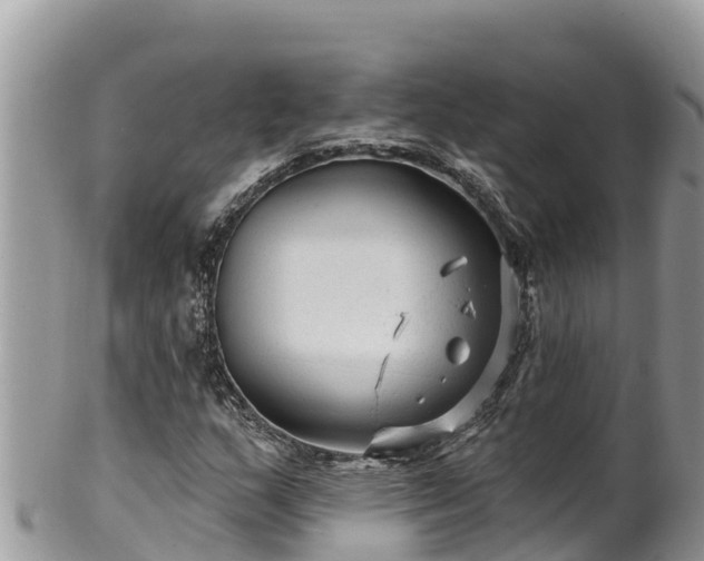 X0000102311159200808011556