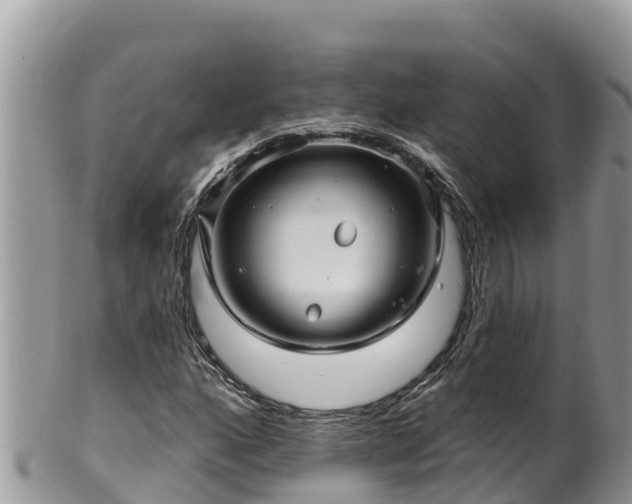 X0000102311160200808011556