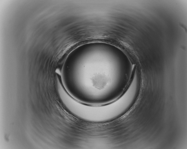 X0000102311161200808011556