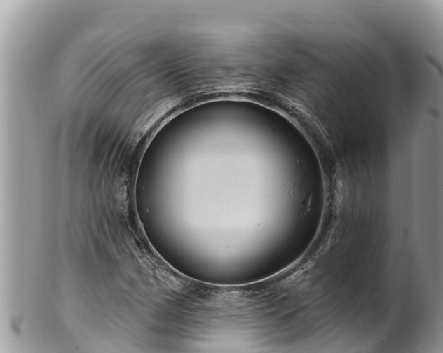 X0000102311162200808011556