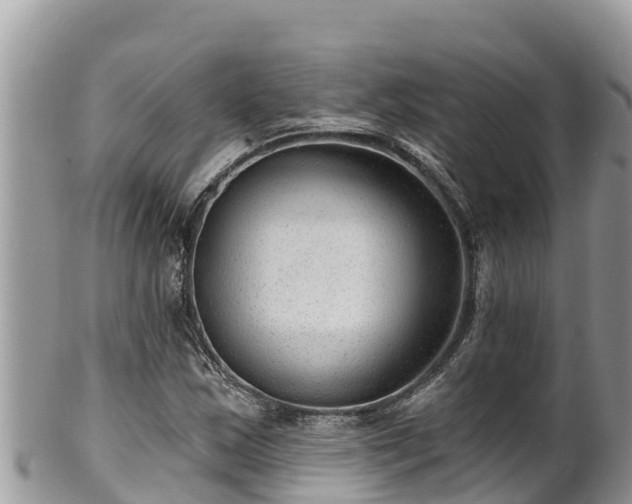 X0000102311163200808011556