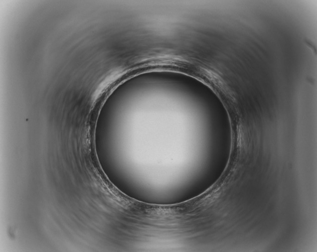 X0000102311164200808011556