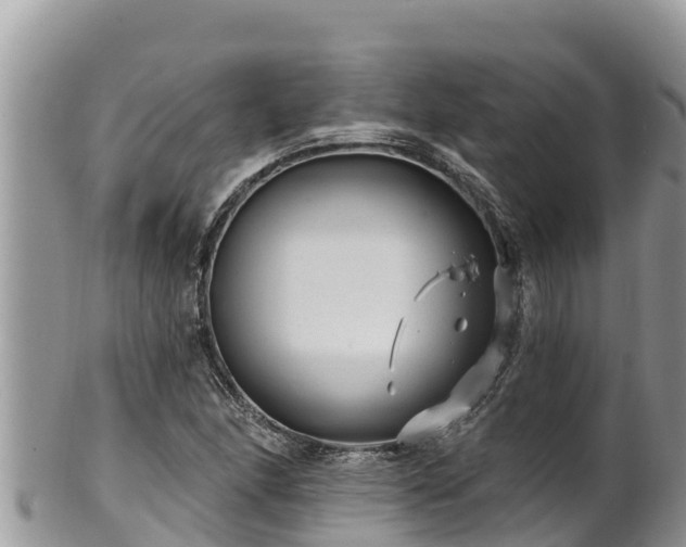 X0000102311166200808011556