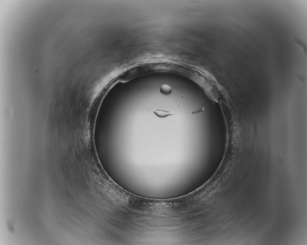 X0000102311167200808011556