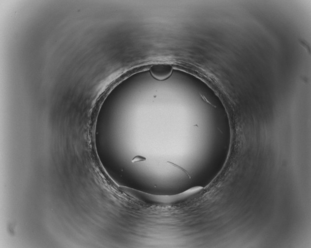 X0000102311168200808011556