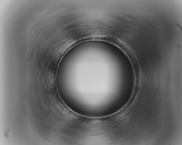 X0000102311169200808011556