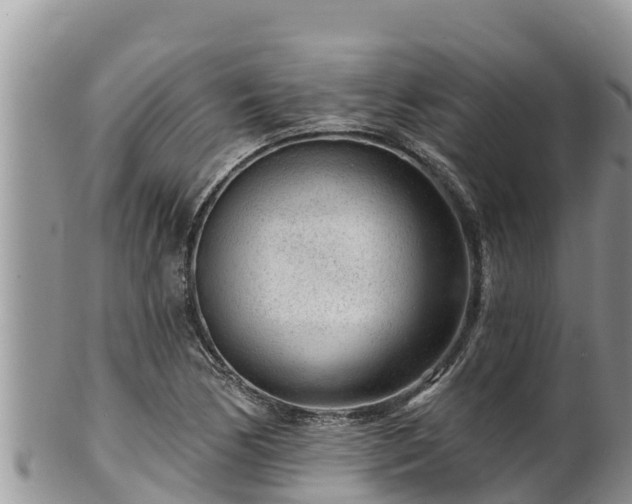 X0000102311170200808011556