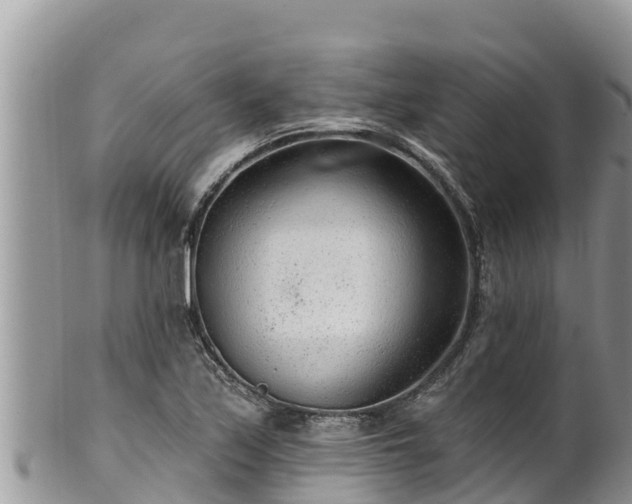 X0000102311171200808011556