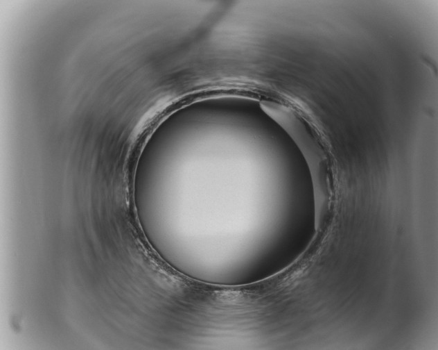 X0000102311172200808011556