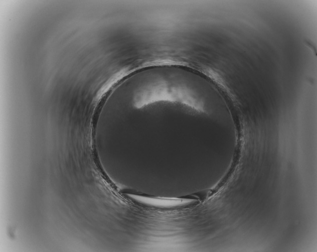 X0000102311173200808011556