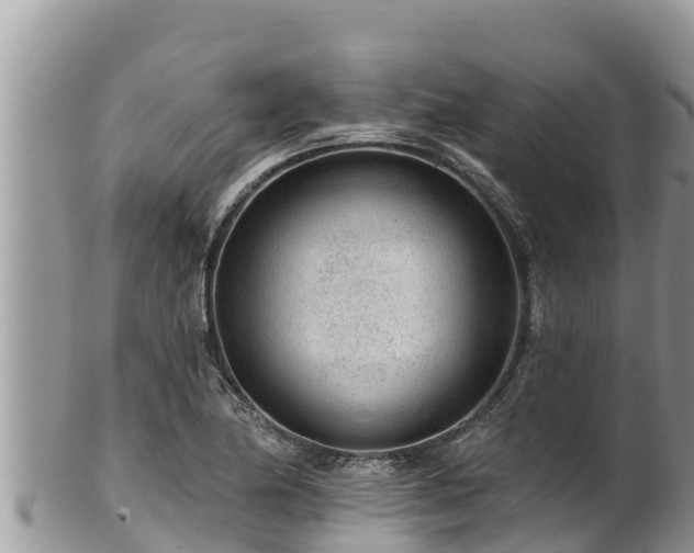 X0000102311174200808011556