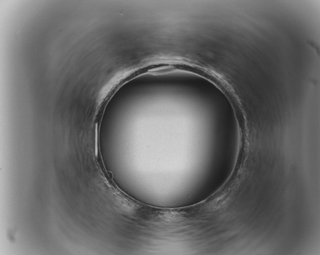 X0000102311175200808011556