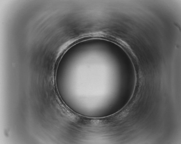 X0000102311176200808011556