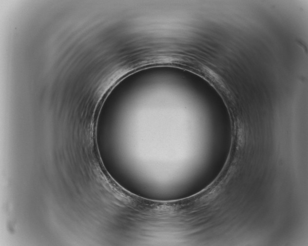 X0000102311178200808011555