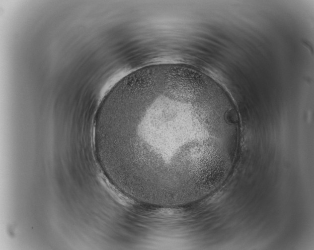 X0000102311179200808011555