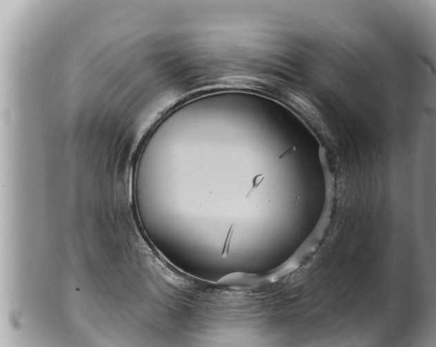 X0000102311180200808011555