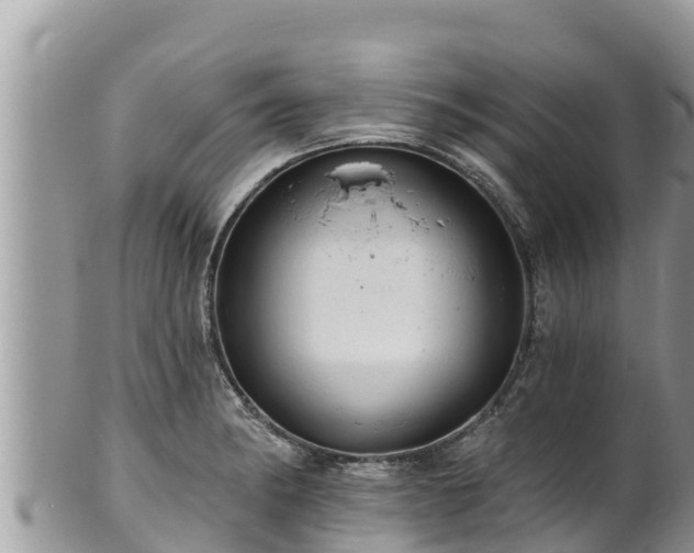 X0000102311182200808011555