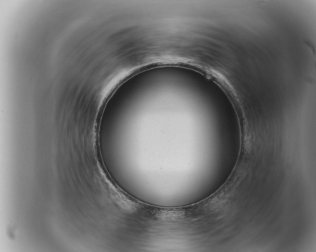 X0000102311183200808011555