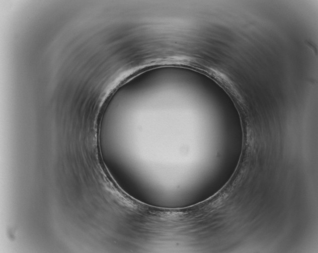 X0000102311184200808011555