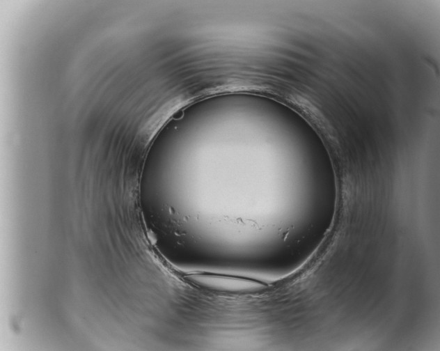 X0000102311185200808011555