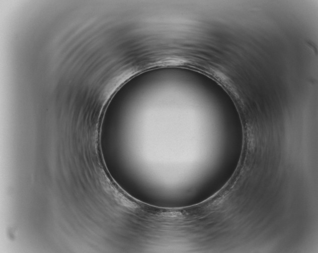 X0000102311186200808011555