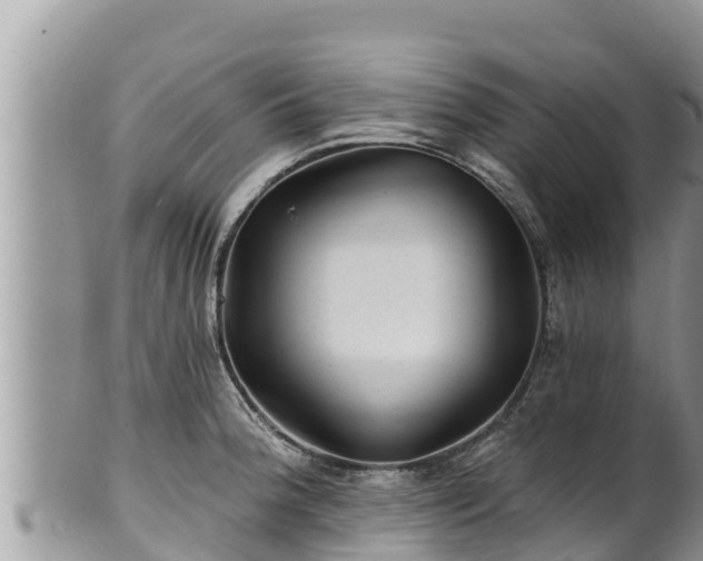 X0000102311188200808011555