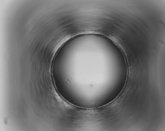 X0000102311189200808011555