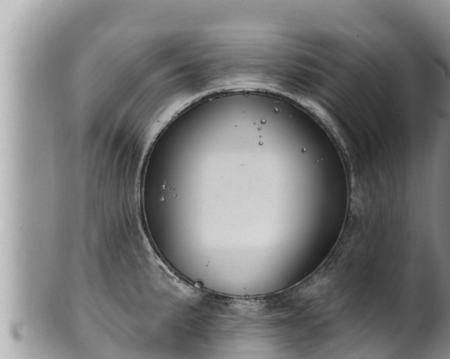 X0000102311191200808011555