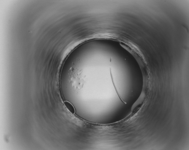 X0000102311192200808011555