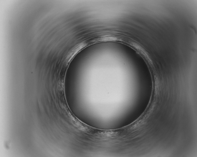 X0000102311193200808011555