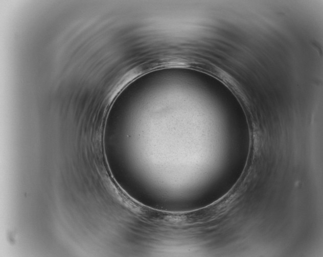 X0000102311194200808011555