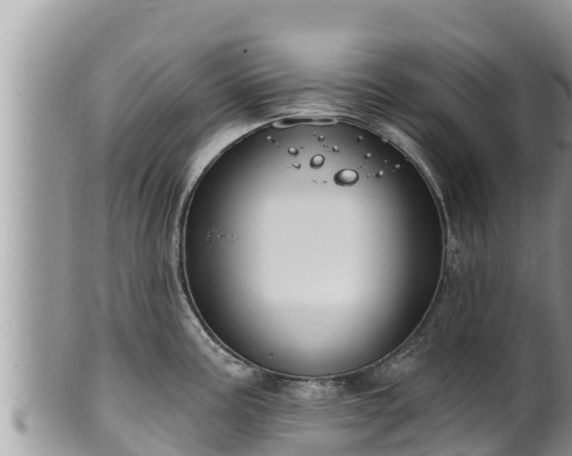 X0000102311195200808011555