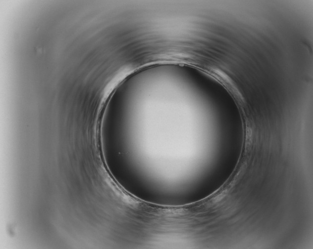 X0000102311196200808011555