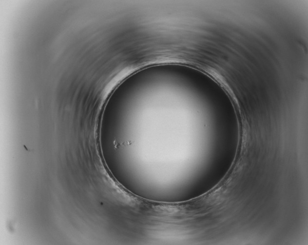 X0000102311197200808011555