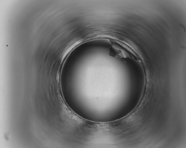 X0000102311198200808011555