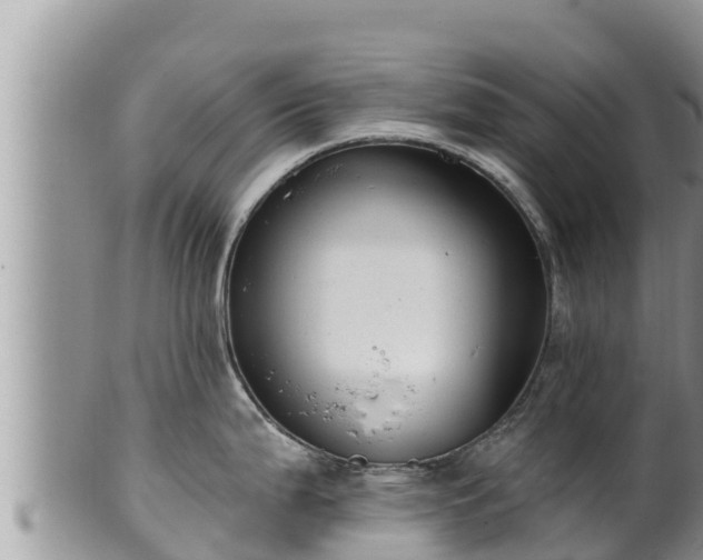 X0000102311199200808011555