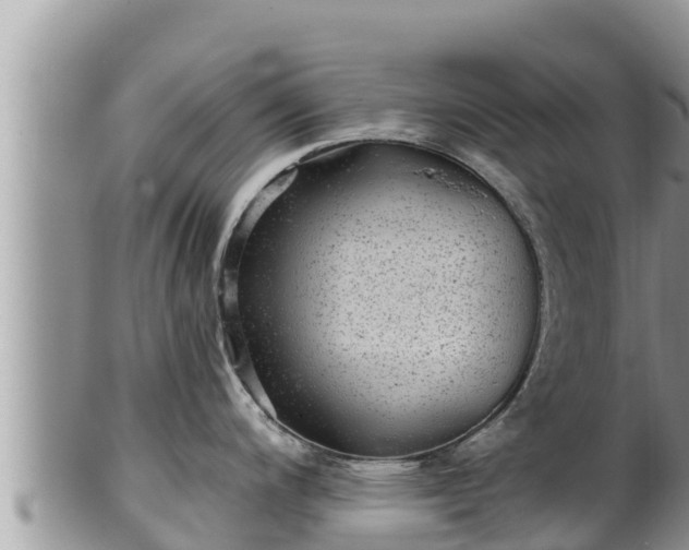 X0000102311200200808011555