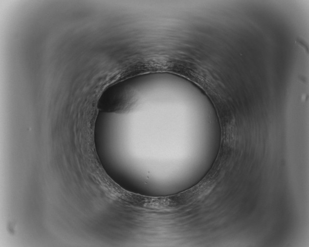 X0000102311201200808011554