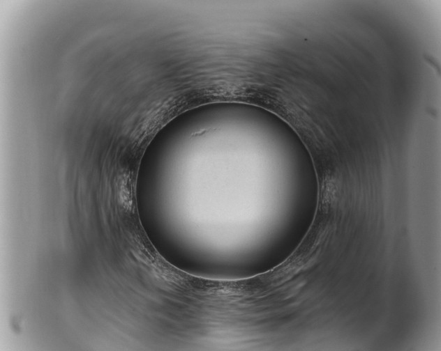 X0000102311202200808011554