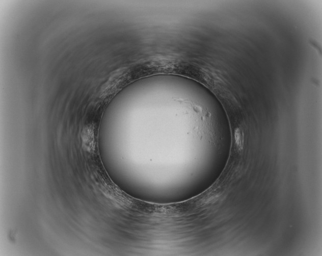 X0000102311203200808011554