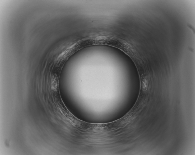 X0000102311204200808011554