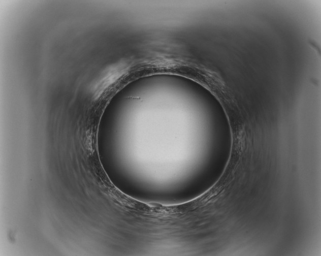 X0000102311205200808011554