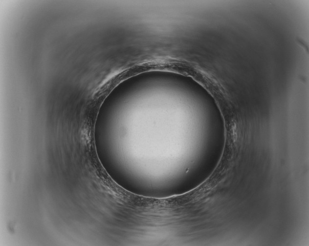 X0000102311206200808011555